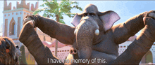 zootopia nangi elephant i have no memory of this can%27t remember