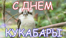 a small bird is sitting on a branch with the words " cdnem kykabarbi " written above it