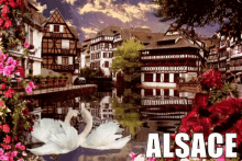 Alsace GIF - Alsace GIFs