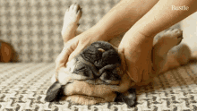 Massage Bustle GIF - Massage Bustle Relax GIFs