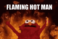 Flaming Hot Man Elmo Fire GIF - Flaming Hot Man Elmo Fire Danger Bacon GIFs