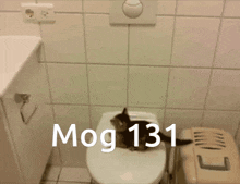 Mog Mogcat GIF