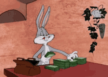 looney tunes bugs bunny money counting counting cash