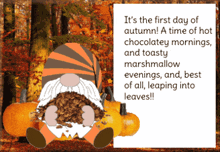 Autumn Gnome GIF