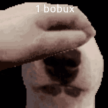 Bobux 1bobux GIF - Bobux 1bobux Ryan GIFs