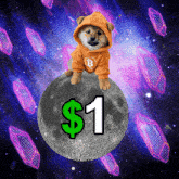 Dog Dog Memes GIF - Dog Dog Memes Dog Go To The Moon GIFs