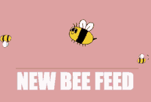 New Bee Feed Inspnewbee GIF - New Bee Feed Inspnewbee Insplove GIFs
