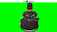 Live Oreo Reaction Live Oreo Newsman Reaction GIF - Live Oreo Reaction Live Oreo Newsman Reaction My Muppets Show GIFs