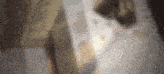 a blurry picture of a person standing in front of a wall