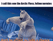 Arctic Floss Norm Of The North GIF - Arctic Floss Norm Of The North Normheads GIFs