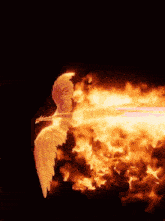 a person with wings is surrounded by flames in the dark