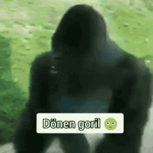 Dönen Goril GIF - Dönen Goril GIFs