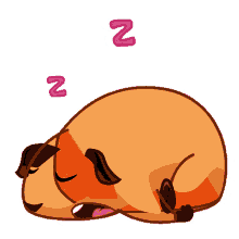 adorable sleep