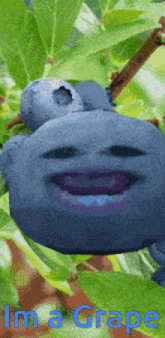 a picture of a blueberry with a face and the words im a grape