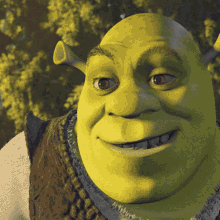 Shrek Gigachad GIF - Shrek Gigachad Midjourney GIFs