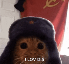 Soviet Cat Sovicat GIF - Soviet Cat Sovicat Soviet GIFs