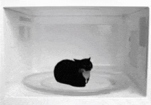a black and white cat is laying on a microwave plate