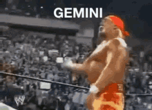 Gemini Wwe GIF - Gemini Wwe Geminiseason GIFs