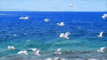 Nature Sea GIF - Nature Sea Water GIFs