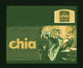 a picture of a dinosaur with the word chia written on it