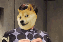 a man wearing a polka dot shirt has a doge on his face
