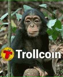 Trollcoin Troll Crypto Cryptocurrency Shitcoin Xrp Doge Bnb GIF - Trollcoin Troll Crypto Cryptocurrency Shitcoin Xrp Doge Bnb GIFs