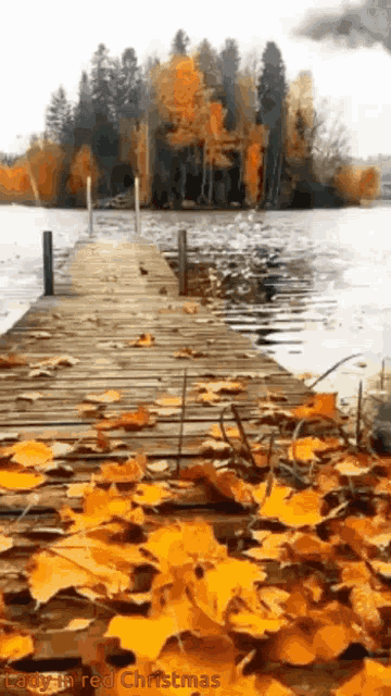 Fall GIFs  Get the best gif on GIFER