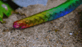 Rainbow Snake GIF - Rainbow Snake Egg GIFs