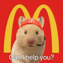 a hamster wearing a mcdonald 's hat and headset is asking if he can help you