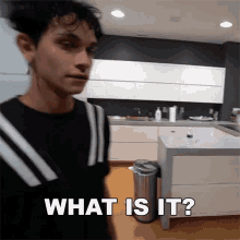 What Is It Lucas Dobre GIF - What Is It Lucas Dobre Dobre Brothers GIFs