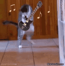 Cat Guitar GIF - Cat Guitar Rock GIFs