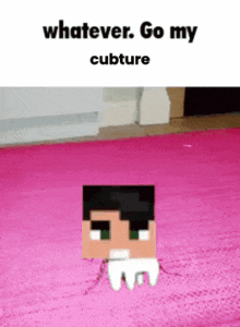 a picture of a minecraft character on a pink rug with the caption whatever go my cubture