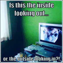Outside Looking In Inside Looking Out GIF - Outside Looking In Inside Looking Out Inside Out GIFs