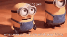 Yes Now What Are We Doing Minions GIF - Yes Now What Are We Doing Minions Excited GIFs