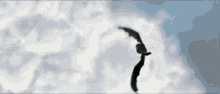 a bat is flying in the sky with its wings outstretched .