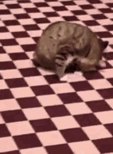 GIF
