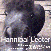 Hannibal Horse GIF - Hannibal Horse GIFs