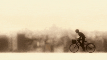 a person is riding a bike with a basket on the front