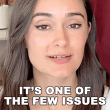 Its One Of The Few Issues Ashleigh Ruggles Stanley GIF - Its One Of The Few Issues Ashleigh Ruggles Stanley The Law Says What GIFs