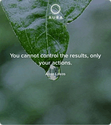 a leaf with a drop of water on it and a quote from allan lokos