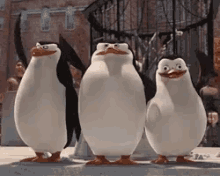 Smile Wave GIF - Smile Wave Penguins GIFs