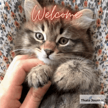 greeting welcoming
