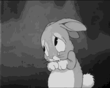 sad tears crying bunny