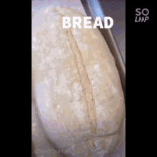 Bread Ok GIF - Bread Ok GIFs