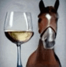 a horse standing next to a glass of wine .