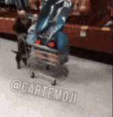 a dog is pushing a shopping cart with a bag of food in it .