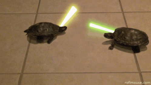 [Image: ninja-turtle-fight.gif]
