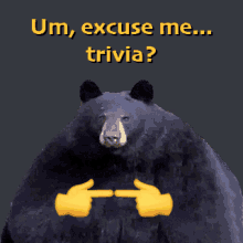 Trivia Bear GIF