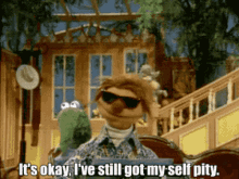 Muppets Droop GIF - Muppets Droop Self Pity GIFs