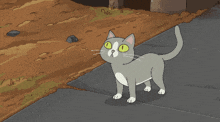 Rick Morty GIF - Rick Morty Cat GIFs